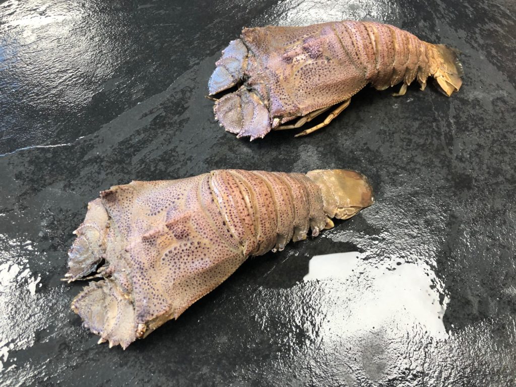 Slipper lobster - Bärenkrebs from Fiskano