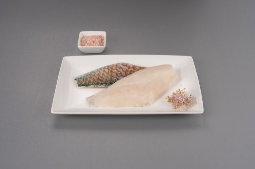 Parrotfish Fillets