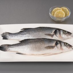 Seabass