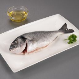 Seabream