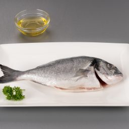 Seabream
