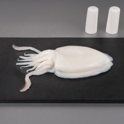 Cuttlefish Whole