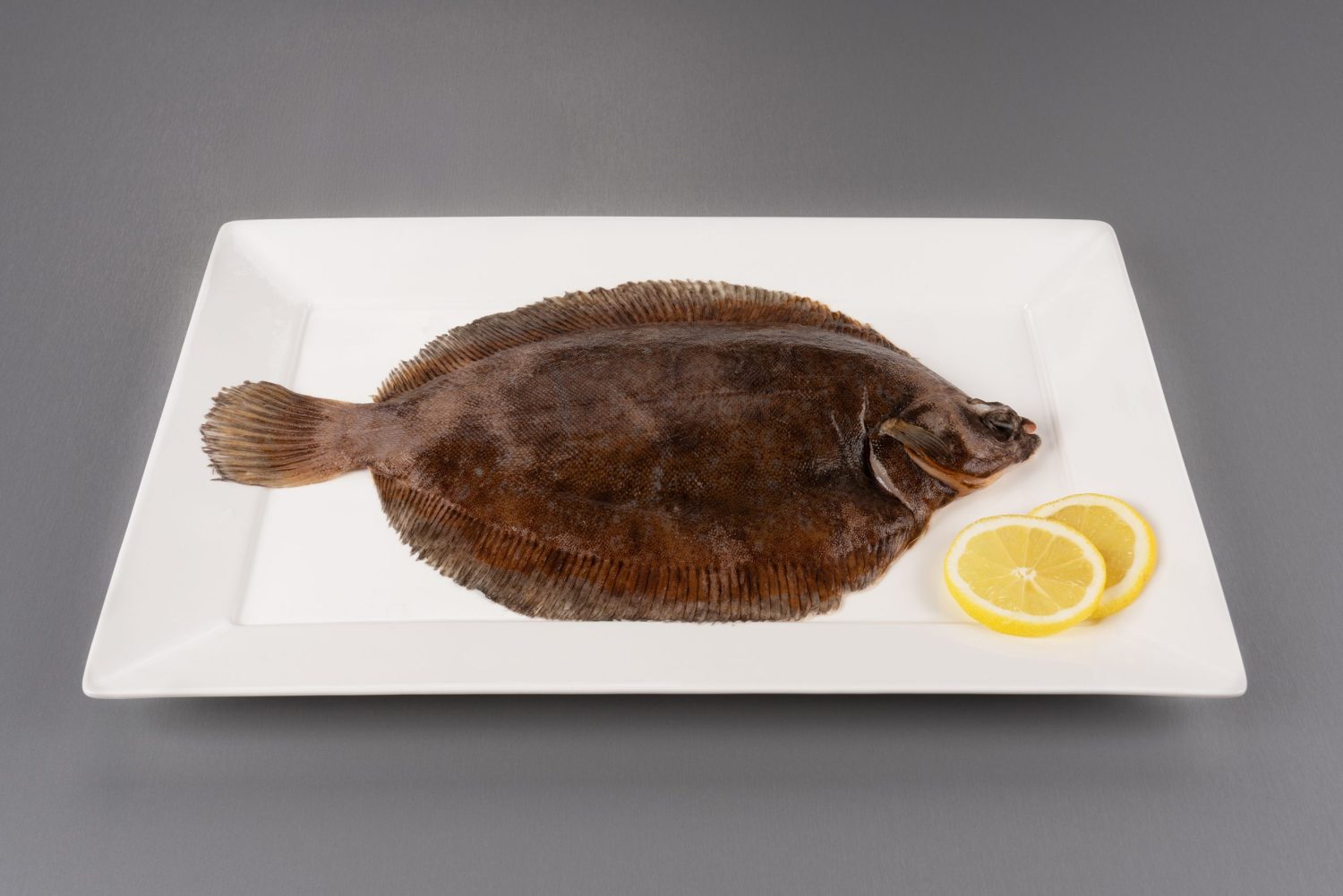 Lemon Sole