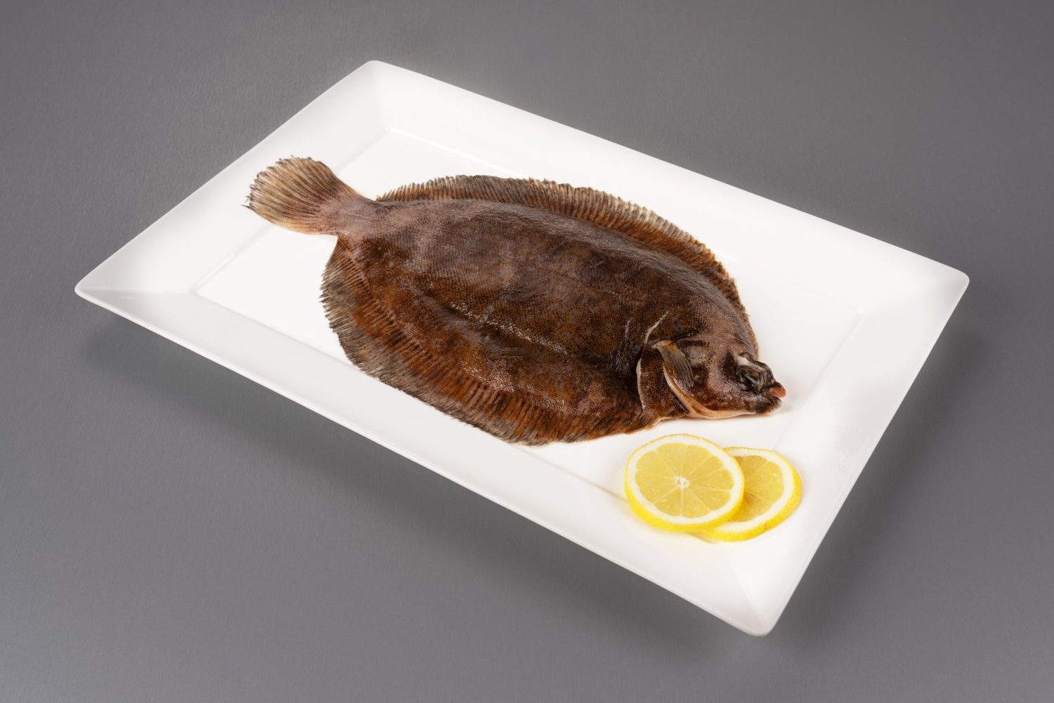 Lemon Sole