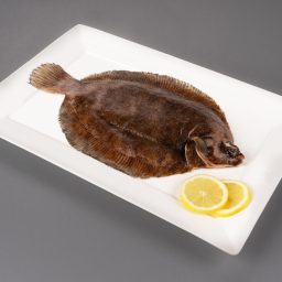 Lemon Sole