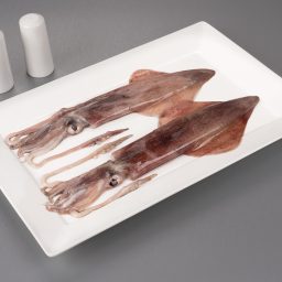 Squid Whole Chocolate