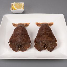 Slipper Lobster