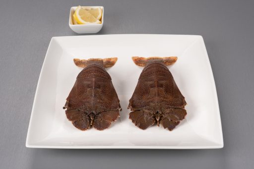 Slipper Lobster
