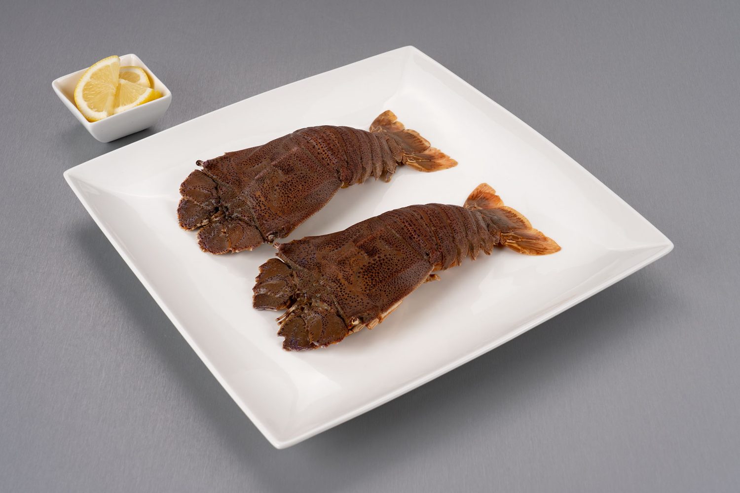 Slipper Lobster