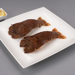 Slipper Lobster