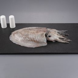 Cuttlefish Whole