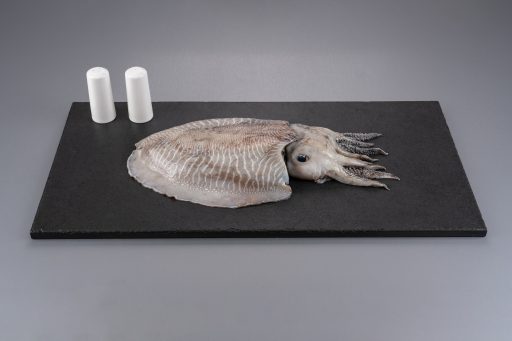 Cuttlefish Whole
